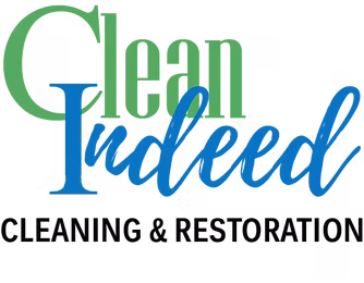 Clean Indeed Logo